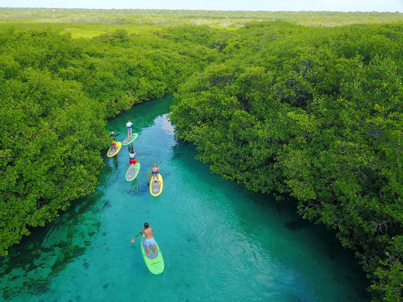 Casa Cenote offers a great snorkeling and a lot of FUN for the whole family.   Tulum paddleboarding snorkeling cenotes tour, is the one to do once you are in the Riviera Maya 