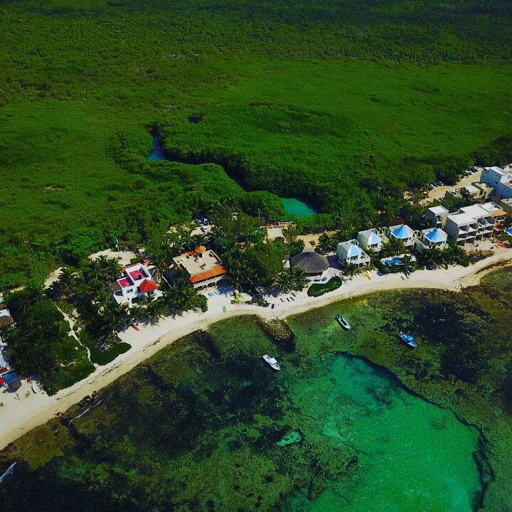 Discover a unique place in the Riviera Maya, just few km from Tulum             Extreme Control Adventures, offers in Scuba Diving in some of the best cenotes in Tulum. Extreme Control Adventures offers PADI lessons such as Discover Scuba Diving and PADI Scuba Diver.