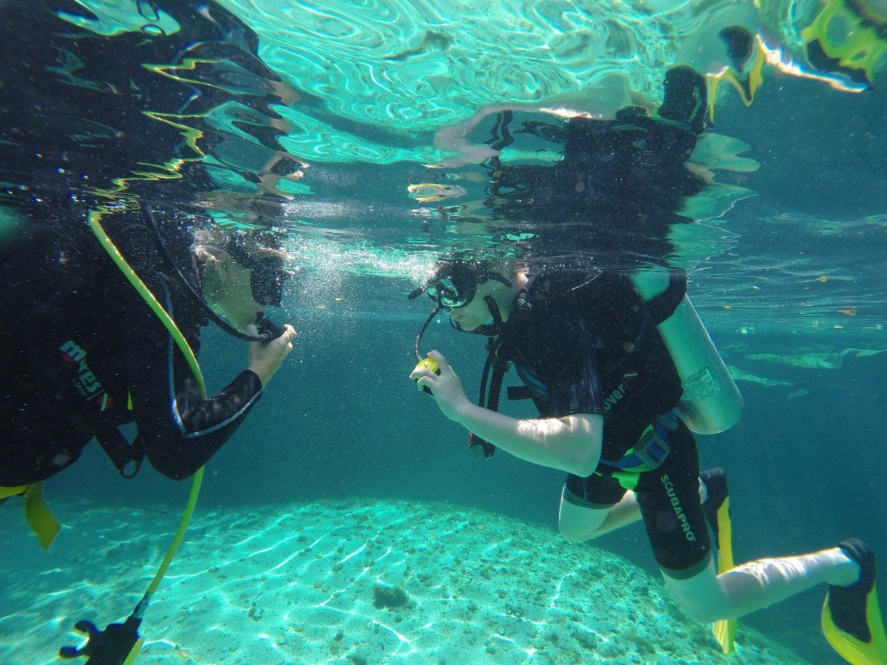 Extreme Control Adventures, offers in Scuba Diving in some of the best cenotes in Tulum. Extreme Control Adventures offers PADI lessons such as Discover Scuba Diving and PADI Scuba Diver.