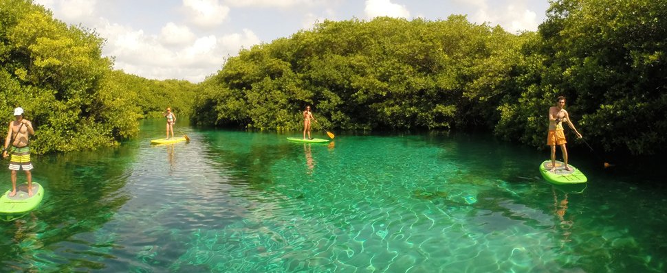  Tulum locals tours, Muyil Ruins, Sian Kaan lagoons, mayan rivers, Tulum Scuba diving lessons, cenotes tour, caver diving, scuba diving, reaf diving  Tulum paddleboarding snorkeling cenotes tour, paddleboard tours, paddleboard rent, Sup tours, Sup rent, Sup adventures, and El Cuyo Yucatan Kiteboarding Lessons, Hydrofoil Lessons, kitesurfing Lessons, Kitesurf, Kiteboard, Tours, Accommodations Extreme Control Adventures